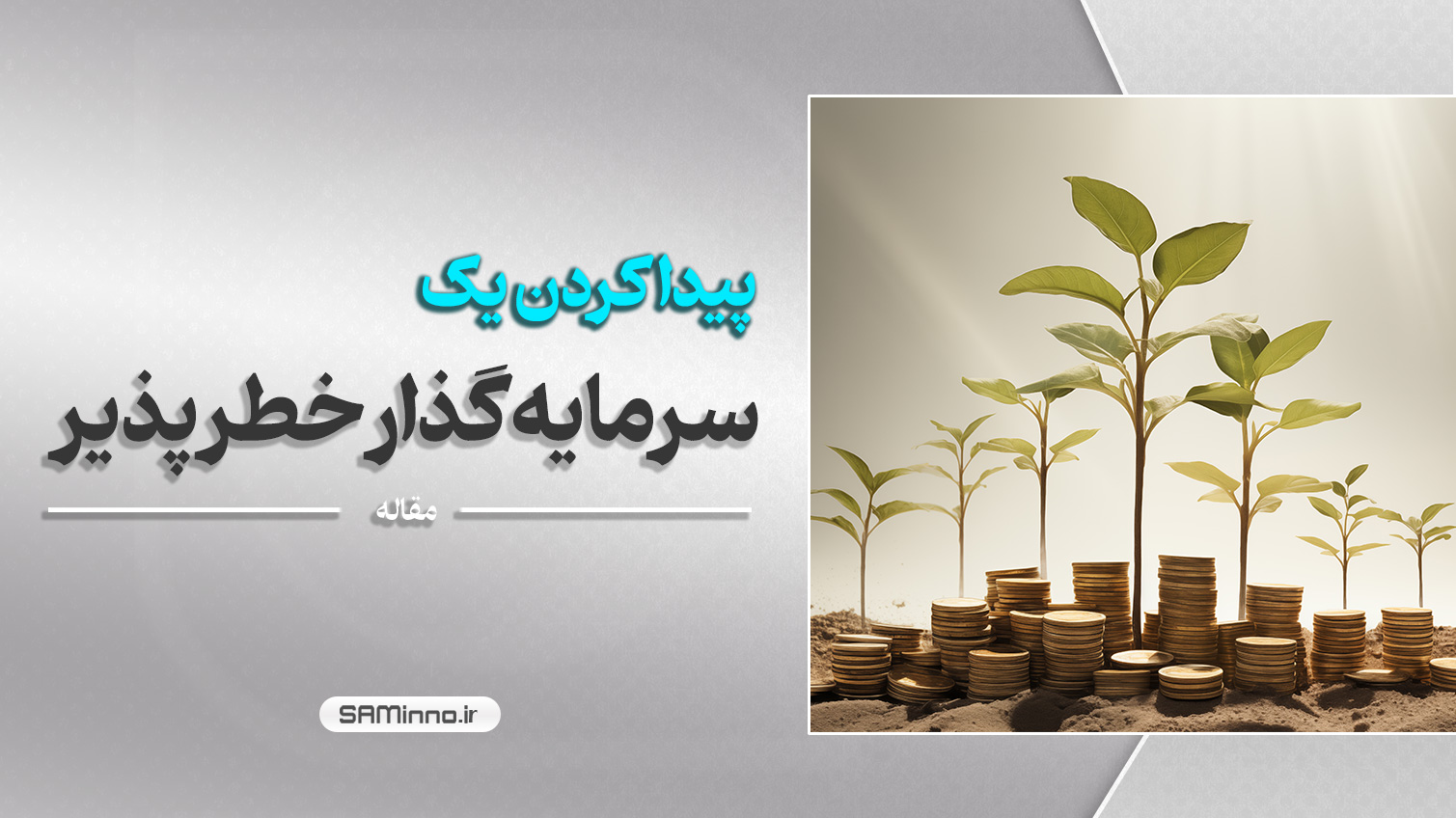 چگونه یک سرمایه گذار خطرپذیر برای کسب و کارمان پیدا کنیم ؟